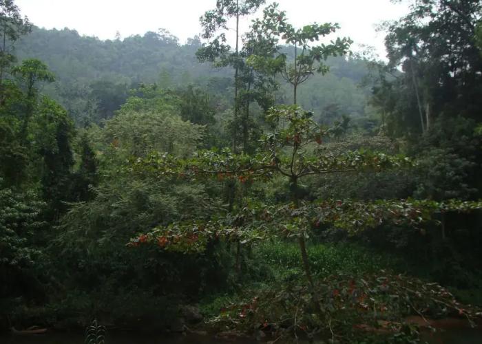 Vini Villa