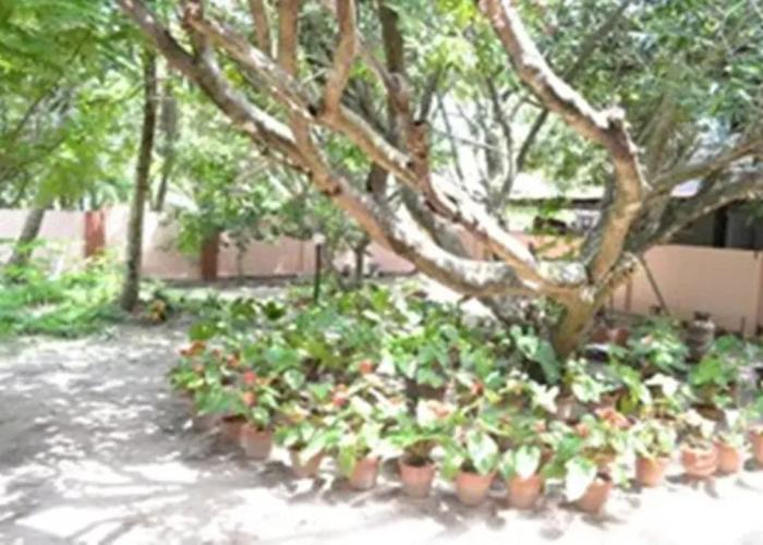 Tharavad Heritage Resort