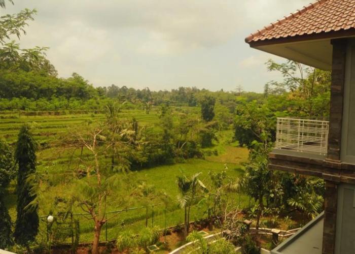 The Gecho Inn Country