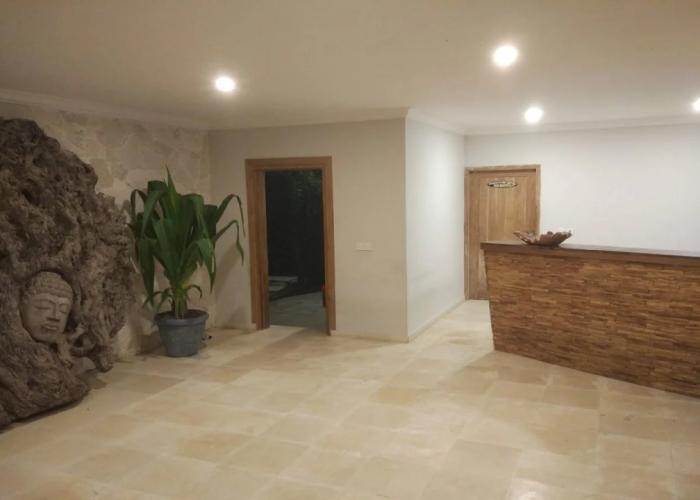 Coconut Lodge