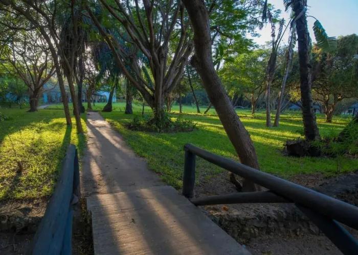 Amani Beach Resort