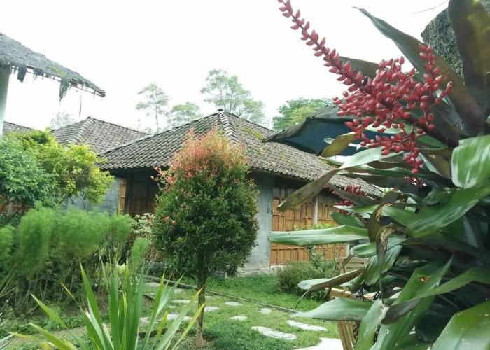Pondok Bamboo Sendangsari