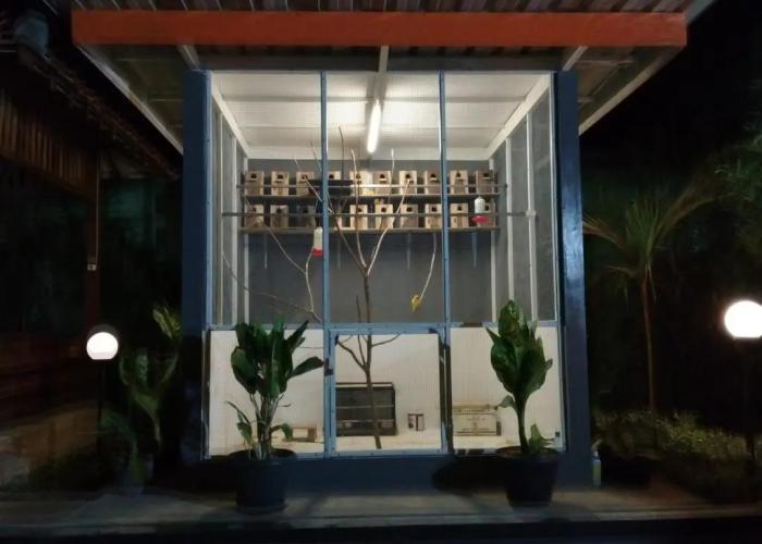 Wisma Lovebird