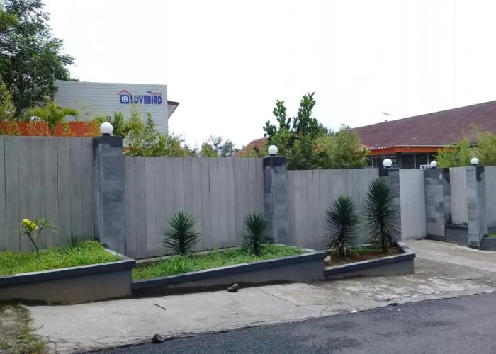 Wisma Lovebird
