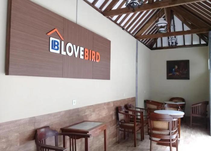 Wisma Lovebird