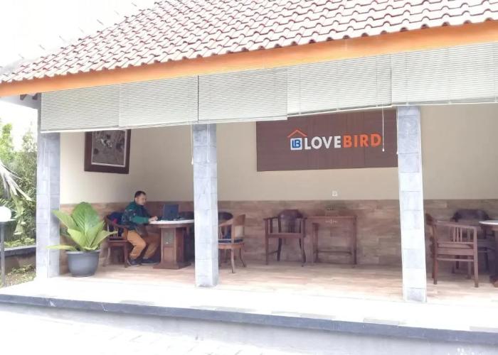 Wisma Lovebird