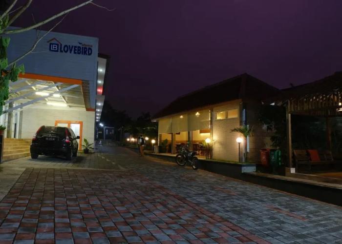 Wisma Lovebird