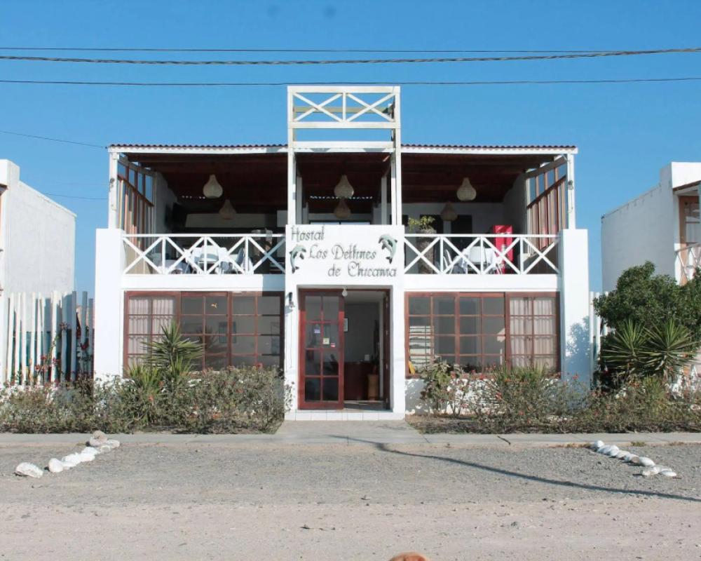 Los Delfines de Chicama