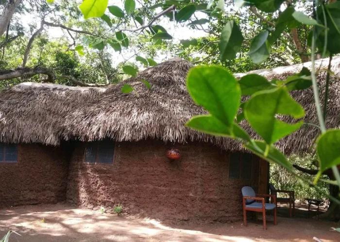 Selous Adili Forest Camp