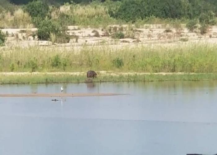 Nje Bush Camp