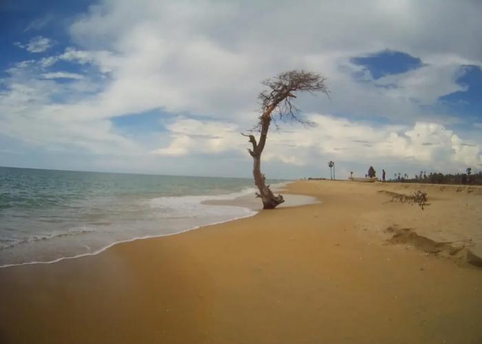 Kite Paradise Resort-Kalpitiya
