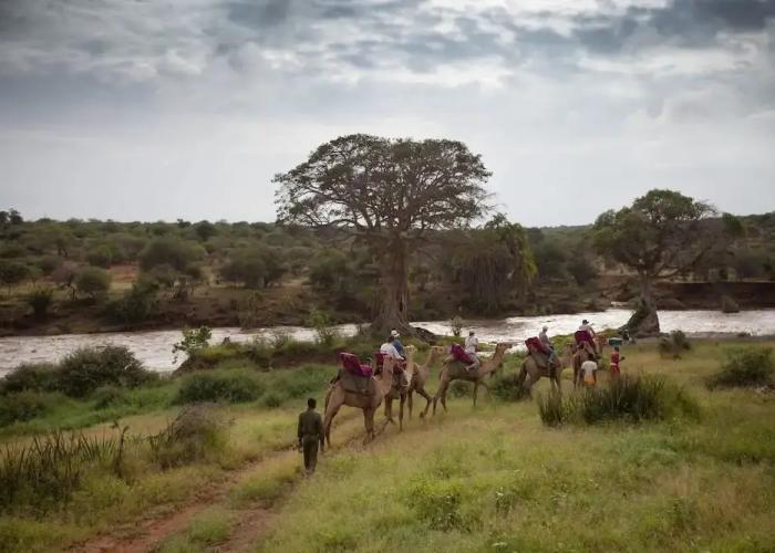 Elewana Loisaba Tented Camp