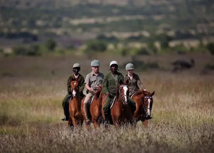 Elewana Loisaba Star Beds