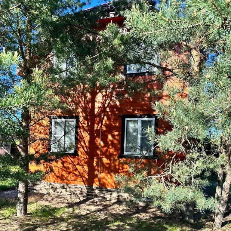 Dream Forest & River Pz Guest house