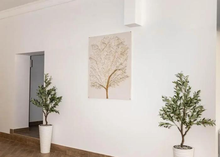 Hotel Cheget Hotel Star
