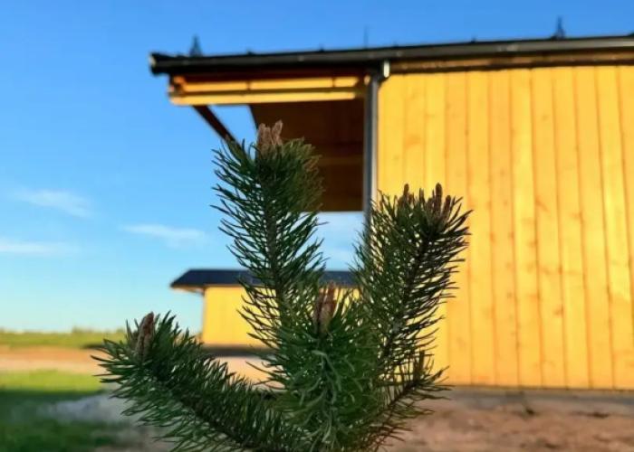 Ilmera Glamping