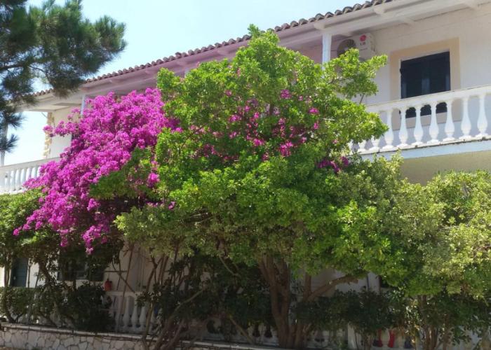 Elli Beach Apartments and Studios