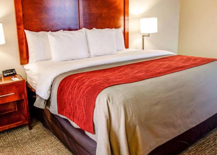 Comfort Inn Bessemer Birmingham South