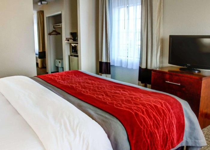 Comfort Inn Bessemer Birmingham South