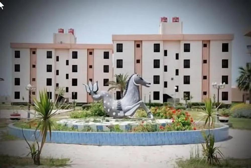 фото Ras El Bar Apartments Armed Forces