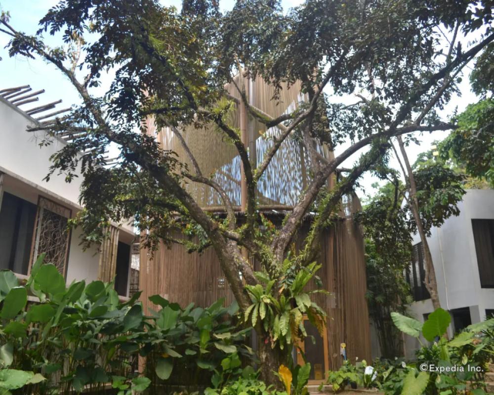 фото Spin Designer Hostel