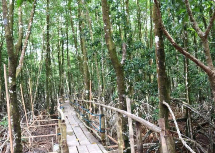 Villa Israel Eco Park El nido Palawan