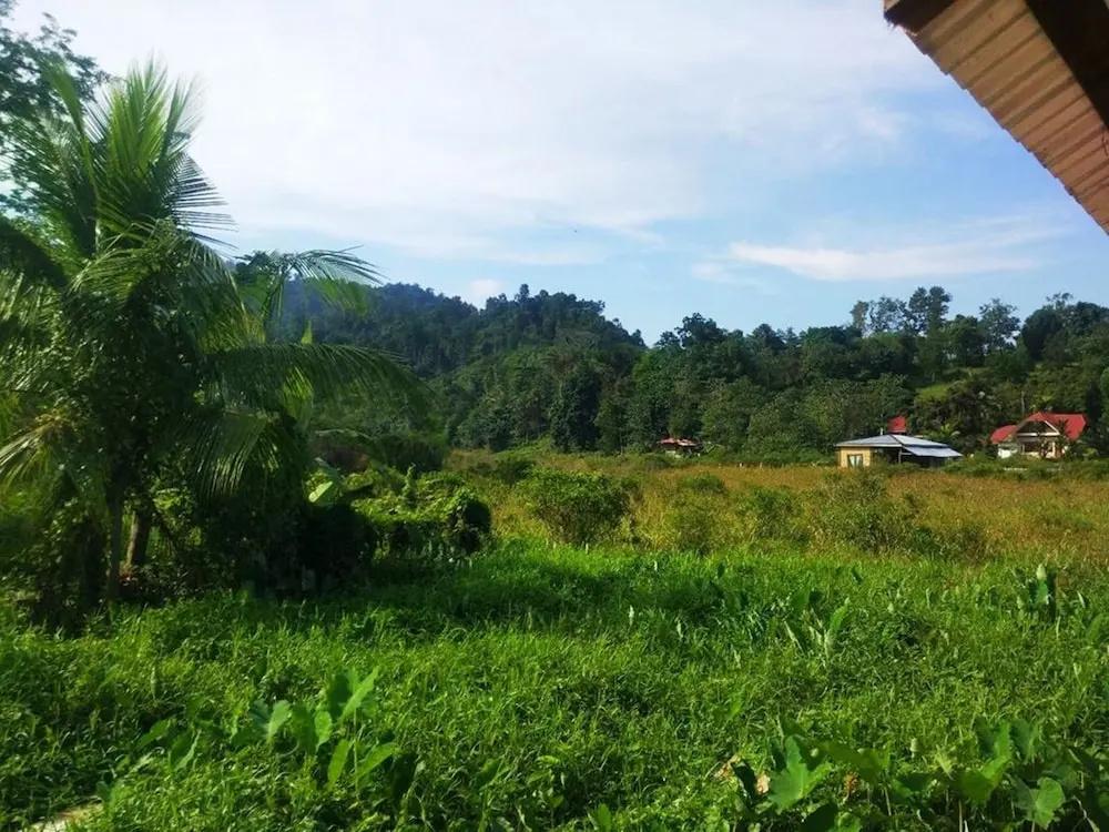 фото Nelmann's Nipa Huts