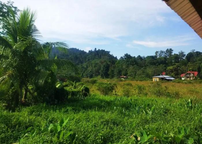 Nelmann's Nipa Huts