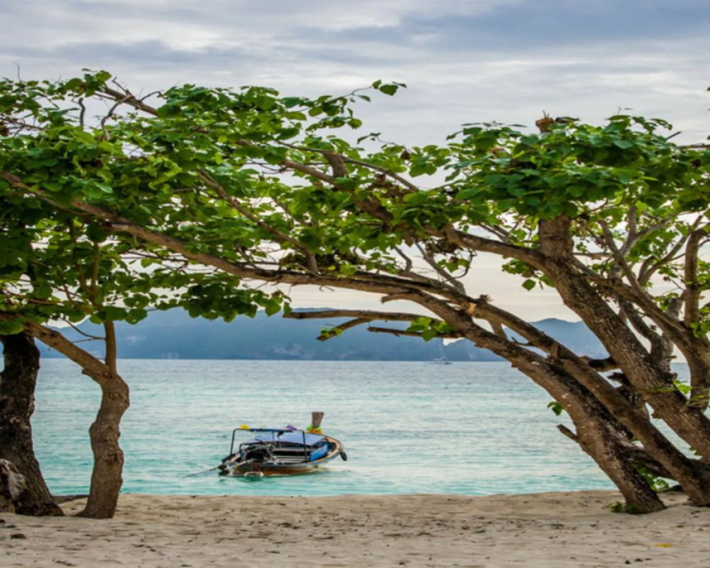 фото Paradise Resort PHI PHI