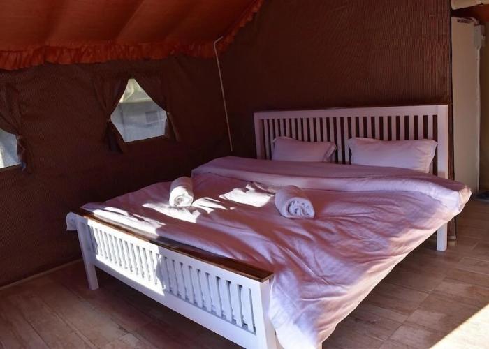 Camp Cedar