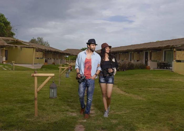 Asiatic Lion Lodge