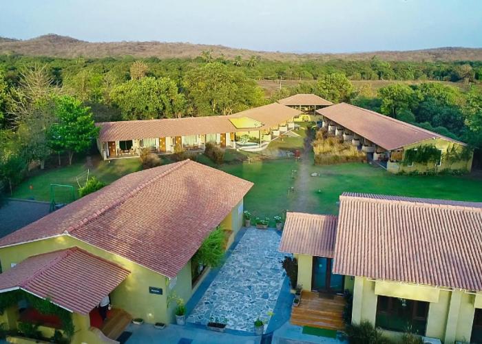 Asiatic Lion Lodge
