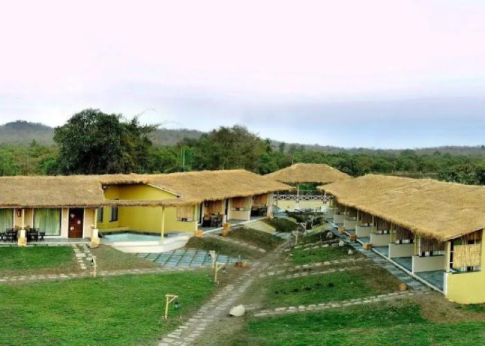 Asiatic Lion Lodge