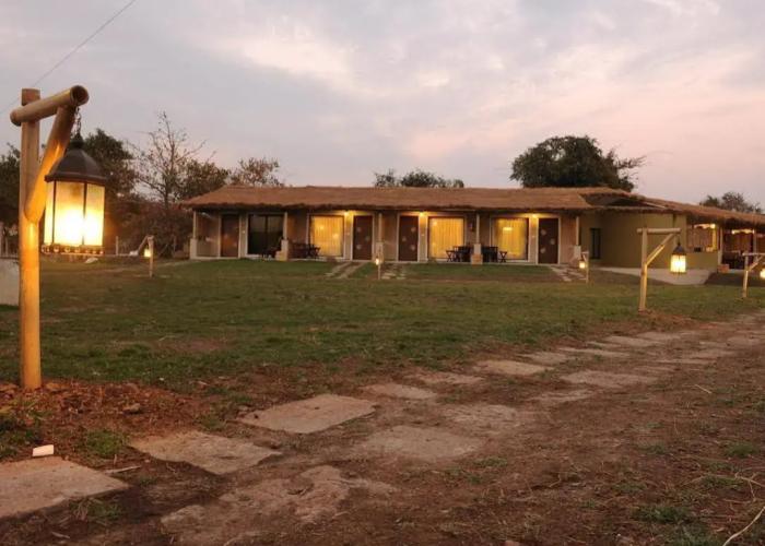Asiatic Lion Lodge