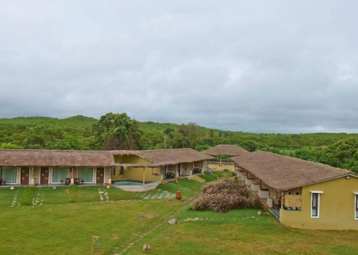 Asiatic Lion Lodge