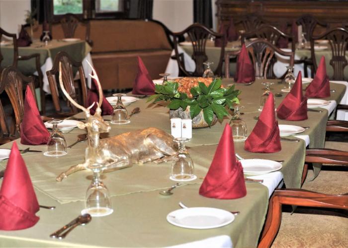 WelcomHeritage Taragarh Palace