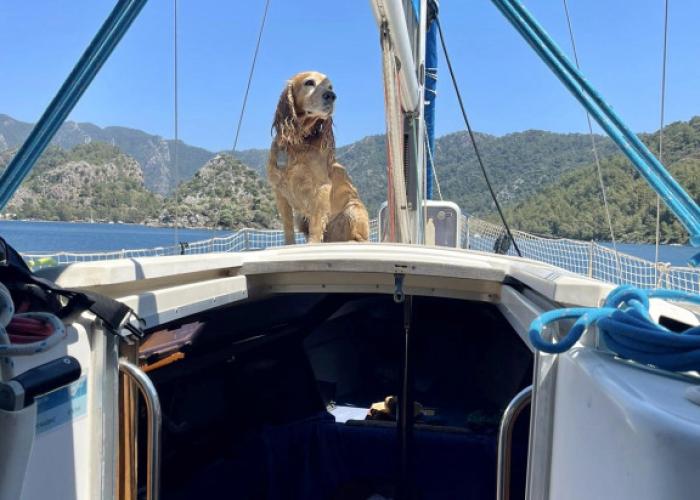 Marimare Beach & Bungalow Bungalow