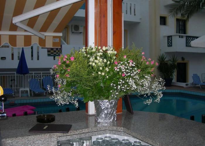 Galini Apartments and Studios