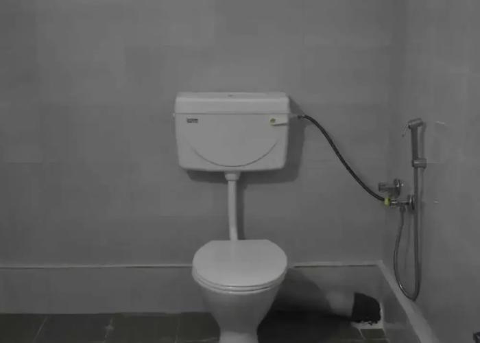 Homocation Ray Homestay
