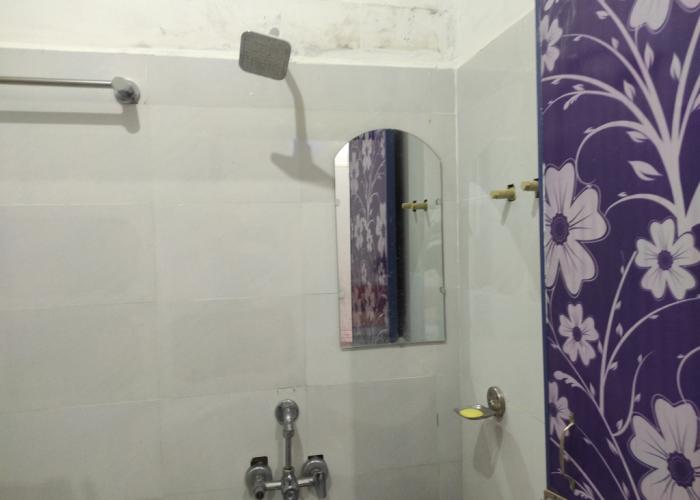 Homocation Manas Green Homestay