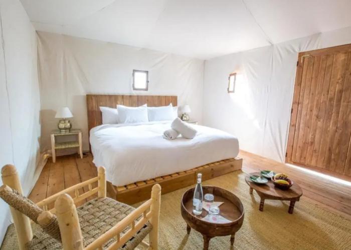 The White Camel Lodge & Tents