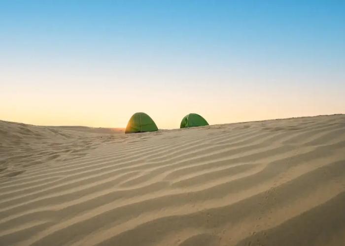 Wind Desert Camp