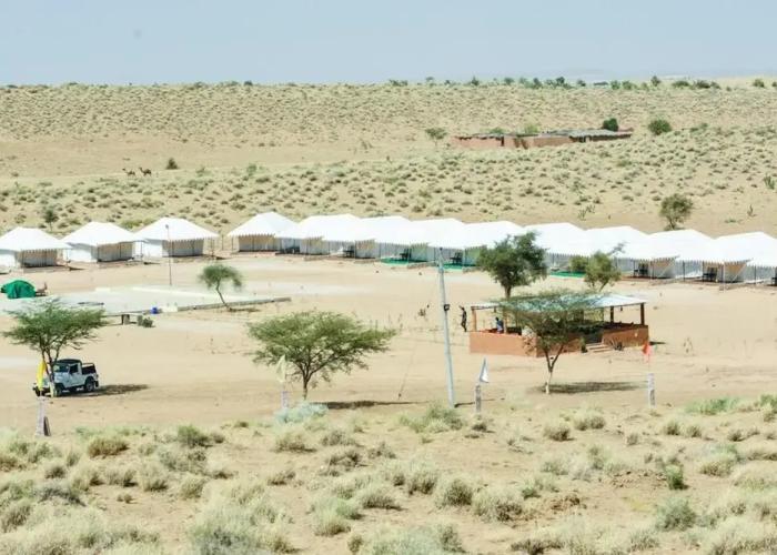 Amazing Desert Camp