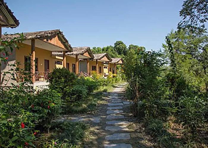 Island Jungle Resort