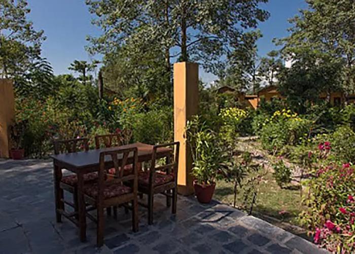 Island Jungle Resort