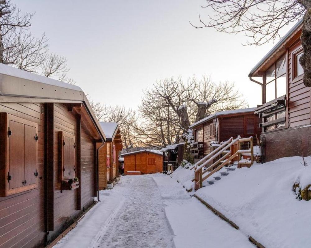 Campeggio Parco dei Castagni srl