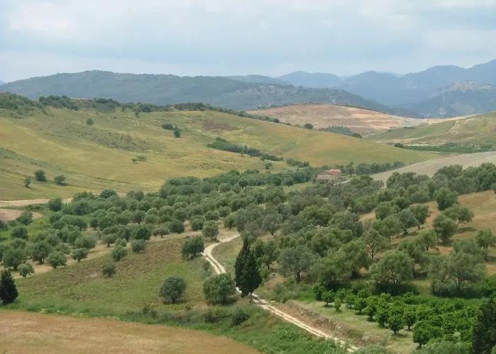 Holiday Home in Stilo With Garden