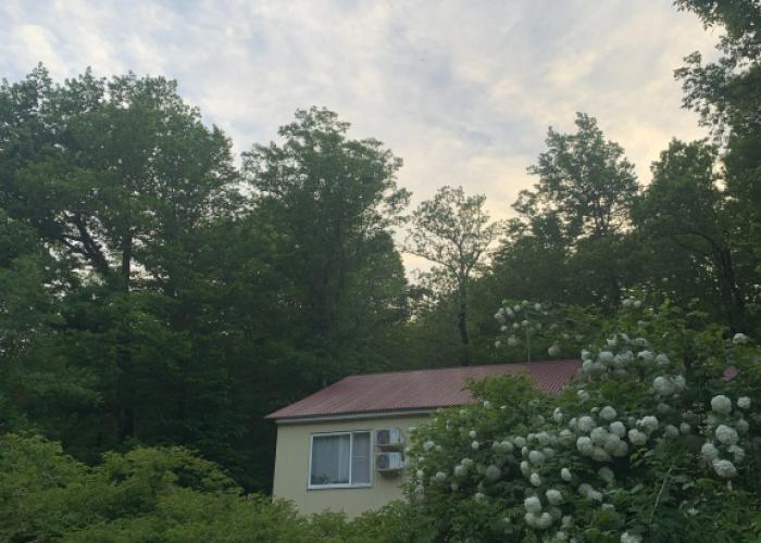 Gostinichnyj Kompleks Primula Recreation camp