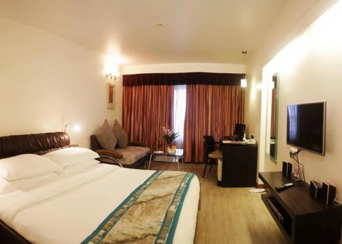 Sayaji Indore