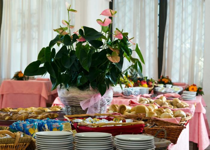 Hotel Schuhmann